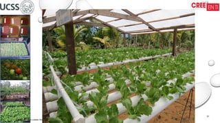 16/09/2025
Wilson Roberto Ludeña Marín
01
 