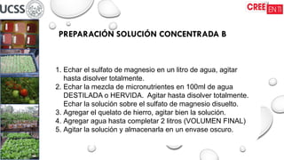 PREPARACIÓN SOLUCIÓN CONCENTRADA B
1. Echar el sulfato de magnesio en un litro de agua, agitar
hasta disolver totalmente.
2. Echar la mezcla de micronutrientes en 100ml de agua
DESTILADA o HERVIDA. Agitar hasta disolver totalmente.
Echar la solución sobre el sulfato de magnesio disuelto.
3. Agregar el quelato de hierro, agitar bien la solución.
4. Agregar agua hasta completar 2 litros (VOLUMEN FINAL)
5. Agitar la solución y almacenarla en un envase oscuro.
 