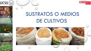 SUSTRATOS O MEDIOS
DE CULTIVOS
 