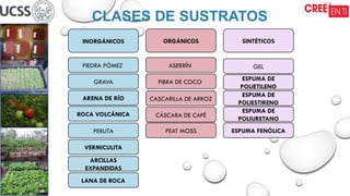 CLASES DE SUSTRATOS
INORGÁNICOS
PIEDRA PÓMEZ
GRAVA
ARENA DE RÍO
ROCA VOLCÁNICA
PERLITA
VERMICULITA
ARCILLAS
EXPANDIDAS
LANA DE ROCA
ORGÁNICOS
ASERRÍN
FIBRA DE COCO
CASCARILLA DE ARROZ
CÁSCARA DE CAFÉ
PEAT MOSS
SINTÉTICOS
GEL
ESPUMA DE
POLIETILENO
ESPUMA DE
POLIESTIRENO
ESPUMA DE
POLIURETANO
ESPUMA FENÓLICA
 