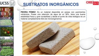 SUSTRATOS INORGÁNICOS
PIEDRA PÓMEZ: Es un material disponible en países con yacimientos
volcánicos. Posee una retención de agua de un 38%, tiene una buena
estabilidad física y gran durabilidad y desde el punto de vista biológico es un
material completamente libre de microorganismos
 