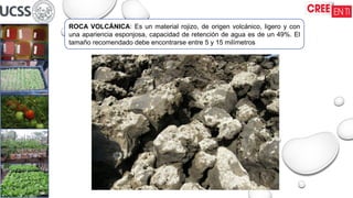 ROCA VOLCÁNICA: Es un material rojizo, de origen volcánico, ligero y con
una apariencia esponjosa, capacidad de retención de agua es de un 49%. El
tamaño recomendado debe encontrarse entre 5 y 15 milímetros
 