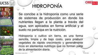 16/09/2025
Wilson Roberto Ludeña Marín 01
HIDROPONÍA
Se concibe a la hidroponía como una serie
de sistemas de producción en donde los
nutrientes llegan a la planta a través del
agua, son aplicados en forma artificial y el
suelo no participa en la nutrición.
Hidroponía o cultivo sin tierra, es una forma
sencilla, limpia y de bajo costo, para producir
vegetales de rápido crecimiento y generalmente
ricos en elementos nutritivos que no forman parte
de la alimentación diaria.
 