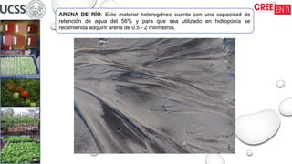 ARENA DE RÍO: Este material heterogéneo cuenta con una capacidad de
retención de agua del 56% y para que sea utilizado en hidroponía se
recomienda adquirir arena de 0.5 - 2 milímetros.
 