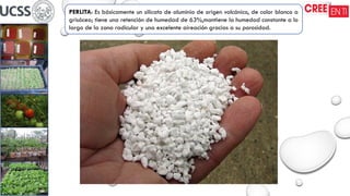 PERLITA: Es básicamente un silicato de aluminio de origen volcánico, de color blanco a
grisáceo; tiene una retención de humedad de 63%,mantiene la humedad constante a lo
largo de la zona radicular y una excelente aireación gracias a su porosidad.
 