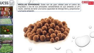 ARCILLAS EXPANDIDAS: Estas son de gran utilidad para el cultivo de
orquídeas y una de sus principales características es que presenta un pH
neutro, además de tener una buena capacidad de drenaje libre y proporcionar
una buena aireación.
 