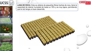 LANA DE ROCA: Esta se obtiene de pequeñas fibras hechas de roca, tiene la
capacidad de retener humedad de hasta un 78% y es muy ligera, permitiendo
que la raíz tenga un buen desarrollo.
 