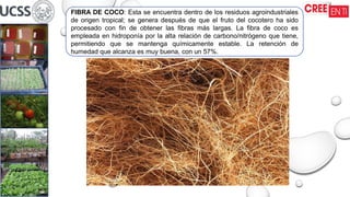FIBRA DE COCO: Esta se encuentra dentro de los residuos agroindustriales
de origen tropical; se genera después de que el fruto del cocotero ha sido
procesado con fin de obtener las fibras más largas. La fibra de coco es
empleada en hidroponía por la alta relación de carbono/nitrógeno que tiene,
permitiendo que se mantenga químicamente estable. La retención de
humedad que alcanza es muy buena, con un 57%.
 