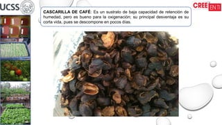 CASCARILLA DE CAFÉ: Es un sustrato de baja capacidad de retención de
humedad, pero es bueno para la oxigenación; su principal desventaja es su
corta vida, pues se descompone en pocos días.
 