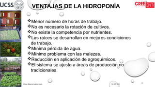 16/09/2025
Wilson Roberto Ludeña Marín
01
VENTAJAS DE LA HIDROPONÍA
Menor número de horas de trabajo.
No es necesario la rotación de cultivos.
No existe la competencia por nutrientes.
Las raíces se desarrollan en mejores condiciones
de trabajo.
Mínima pérdida de agua.
Mínimo problema con las malezas.
Reducción en aplicación de agroquímicos.
El sistema se ajusta a áreas de producción no
tradicionales.
 