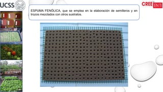 ESPUMA FENÓLICA, que se emplea en la elaboración de semilleros y en
trozos mezclados con otros sustratos.
 