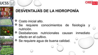 DESVENTAJAS DE LA HIDROPONÍA
 Costo inicial alto.
 Se requiere conocimientos de fisiología y
nutrición.
 Desbalances nutricionales causan inmediato
efecto en el cultivo.
 Se requiere agua de buena calidad.
 