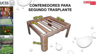 CONTENEDORES PARA
SEGUNDO TRASPLANTE
 