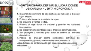 16/09/2025
CRITERIOS PARA DEFINIR EL LUGAR DONDE
UBICAR UNA HUERTA HIDROPÓNICA
1. Disponer de un mínimo de seis (6) horas de luz solar al día en el
lugar elegido,
2. Próximo a la fuente de suministro de agua,
3. No expuesto a vientos fuertes,
4. Próximo al lugar donde se preparan y guardan los nutrientes
hidropónicos,
5. No excesivamente sombreados por árboles o construcciones,
6. Ser protegido o cercado para evitar el acceso de animales
domésticos,
7. Posible de proteger contra condiciones extremas del
clima(heladas; granizo; alta radiación solar; vientos), y
Lejos de focos de contaminación con aguas servidas o desechos
industriales.
 