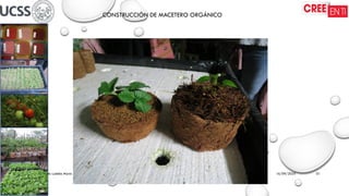 16/09/2025
Wilson Roberto Ludeña Marín 01
CONSTRUCCIÓN DE MACETERO ORGÁNICO
 