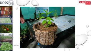 16/09/2025
Wilson Roberto Ludeña Marín 01
 