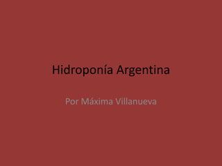 Hidroponía Argentina
Por Máxima Villanueva

 