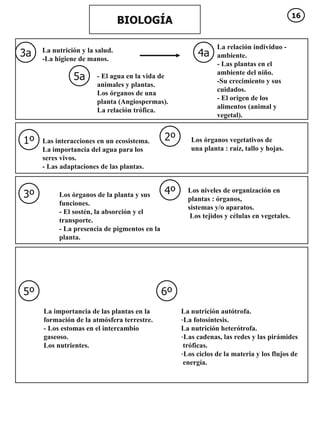 BIOLOGÍA 3a 4a 5a 1º 2º 3º 4º 5º 6º La nutrición y la salud. -La higiene de manos. La relación individuo - ambiente. - Las plantas en el ambiente del niño. -Su crecimiento y sus cuidados. - El origen de los alimentos (animal y vegetal). - El agua en la vida de animales y plantas. Los órganos de una planta (Angiospermas). La relación trófica. Las interacciones en un ecosistema. La importancia del agua para los seres vivos. - Las adaptaciones de las plantas. Los órganos vegetativos de  una planta : raíz, tallo y hojas. Los órganos de la planta y sus funciones. - El sostén, la absorción y el transporte. - La presencia de pigmentos en la planta. Los niveles de organización en plantas : órganos, sistemas y/o aparatos. Los tejidos y células en vegetales.  La importancia de las plantas en la formación de la atmósfera terrestre. - Los estomas en el intercambio gaseoso. Los nutrientes. La nutrición autótrofa. La fotosíntesis. La nutrición heterótrofa. Las cadenas, las redes y las pirámides  tróficas. Los ciclos de la materia y los flujos de  energía. 16 