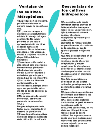 1)La producción es intensiva, permitiendo obtener un número mayor de cosechas al año. 2)El consumo de agua y nutrientes es absolutamente mínimo. El manejo del agua es eficiente. No existen pérdidas en el suelo o aprovechamiento por otras especies ajenas a la cultivada. El crecimiento es más rápido, más vigoroso, debido a la óptima relación y disponibilidad de los nutrientes. 3)Se obtiene uniformidad y alta calidad para el consumo humano de los productos. 4)La hidroponia permite utilizar cualquier espacio y materiales, por más poca utilidad que se les encuentre. 5)Son productos libres de contaminación y de enfermedades, siempre que el agua sea potable.De todos modos se puede controlar su uso y pureza. 6)No es necesaria la rotación de cultivos, debido a la presencia de nemátodes, virus u hongos.Independencia del factor suelo, controlando el sistema de producción. 7)Posee la opción de cultivar en bolsas colgantes pasando de la utilización de m2 a m3. Ventajas de los cultivos hidropónicos Desventajas de  los cultivos   hidropónicos 1)Se necesita cierta previa formación teórico-práctica en la técnica hidropónica para luego, iniciar una producción. 2)Es fundamental también conocer el sistema hidropónico apropiado para cada cultivo. 3)El tratar de realizar grandes emprendimientos, al comienzo de la experiencia, puede aparejar grandes riesgos de fracaso. 4)La falta de experiencia en el manejo de soluciones nutritivas, puede alterar su composición y afectar negativamente a las plantas, debiendo estar atentos en los cambios producidos tanto en el exceso como en el déficits nutricional. 5)La falta de constancia y dedicación en las labores culturales, puede provocar la pérdida de plantas y/o cultivo   entero. 6)Estos sistemas presentan un costo inicial alto debido a las inversiones a realizar. 7)Así como en los sistemas tradicionales de producción se necesita un suelo de adecuadas condiciones, en los sistemas hidropónicos se requiere agua de buena calidad. Por supuesto que se puede usar con moderación el hipoclorito para potabilizar la misma, dejando pasar un tiempo razonable. 