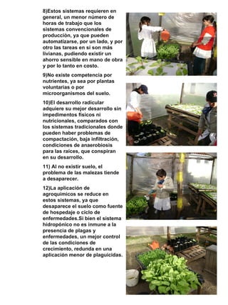 8)Estos sistemas requieren en general, un menor número de horas de trabajo que los sistemas convencionales de producciòn, ya que pueden automatizarse, por un lado, y por otro las tareas en sí son más livianas, pudiendo existir un ahorro sensible en mano de obra y por lo tanto en costo. 9)No existe competencia por nutrientes, ya sea por plantas voluntarias o por microorganismos del suelo. 10)El desarrollo radicular adquiere su mejor desarrollo sin impedimentos físicos ni nutricionales, comparados con los sistemas tradicionales donde pueden haber problemas de compactación, baja infiltración, condiciones de anaerobiosis para las raíces, que conspiran en su desarrollo. 11) Al no existir suelo, el problema de las malezas tiende a desaparecer. 12)La aplicación de agroquímicos se reduce en estos sistemas, ya que desaparece el suelo como fuente de hospedaje o ciclo de enfermedades.Si bien el sistema hidropónico no es inmune a la presencia de plagas y enfermedades, un mejor control de las condiciones de crecimiento, redunda en una aplicación menor de plaguicidas. 