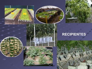 RECIPIENTES 