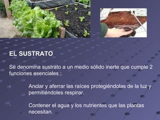 EL SUSTRATO Se denomina sustrato a un medio sólido inerte que cumple 2 funciones esenciales : ·            Anclar y aferrar las raíces protegiéndolas de la luz y permitiéndoles respirar. ·            Contener el agua y los nutrientes que las plantas necesitan. 