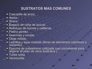 SUSTRATOS MAS COMUNES Cascarilla de arroz, Arena, Grava, Bagazo de caña de azúcar Residuos de hornos y calderas, Piedra pómez, Aserrines y virutas, Olote molido Ladrillos y tejas molidas (libres de elementos calcáreos o cemento), Espuma de poliestireno (utilizada casi únicamente para aligerar el peso de otros sustratos.), Turba rubia,  Vermiculita. 