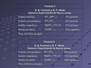 Fórmula 5  R. B. Farnham y R. P. White  Estación Experimental de Nueva Jersey  Sulfato amónico  SO  4  (NH  4  )  2  15,0 gramos  Fosfato monopotásico  KH  2  PO  4  28,5 gramos  Sulfato magnésico  MgSO  4  +7H  2  O  57,0 gramos  Nitrato de calcio  Ca(NO  3  )  2  243,0 gramos  Para 100 litros de agua  Fórmula 6  R. B. Farnham y R. P. White  Estación Experimental de Nueva Jersey  Fosfato monopotásico  KH  2  PO  4  60,8 gramos  Sulfato magnésico  MgSO  4  +7H  2  O  113,0 gramos  Nitrato de calcio  Ca(NO  3  )  2  326,0 gramos  Para 100 litros de agua  