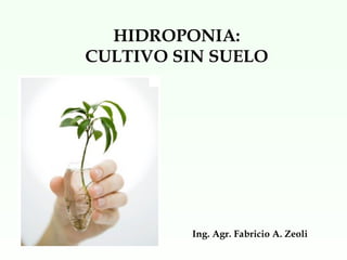 HIDROPONIA:  CULTIVO SIN SUELO  Ing. Agr. Fabricio A. Zeoli 