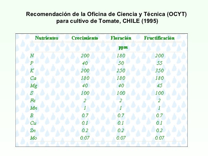 Cultivo De Tomate Hidropnico Revista Horticultivos
