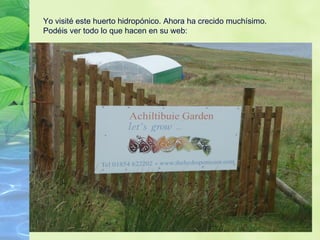 Yo visité este huerto hidropónico. Ahora ha crecido muchísimo.
Podéis ver todo lo que hacen en su web:
 