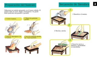 Preparación del Sustrato
Utilizaremos un sustrato preparado con el mayor cuidado. El
sustrato debe ser suave, limpio y homogéneo. No puede
haber partículas muy grandes o pesadas.
3 Llenar la almaciguera con
el sustrato
2 Triturar las partículas
grandes
1 Cernir el sustrato.
4 Sacar las partículas grandes
que hayan quedado.
1
2
3
1 Humedecer el sustrato.
2 Mezclar y nivelar.
3 Trazar los surcos a
distancia y profundidad
recomendadas.
Secuencia de Siembra 2
 