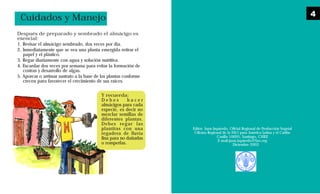 Editor: Juan Izquierdo, Oficial Regional de Producción Vegetal
Oficina Regional de la FAO para América Latina y el Caribe
Casilla 10095, Santiago, CHILE
E-mail:juan.izquierdo@fao.org
Diciembre 2003
Después de preparado y sembrado el almácigo es
esencial:
1. Revisar el almácigo sembrado, dos veces por dia.
2. Inmediatamente que se vea una planta emergida retirar el
papel y el plástico.
3. Regar diariamente con agua y solución nutritiva.
4. Escardar dos veces por semana para evitar la formación de
costras y desarrollo de algas.
5. Aporcar o arrimar sustrato a la base de las plantas conforme
crecen para favorecer el crecimiento de sus raíces.
Cuidados y Manejo
Y recuerda:
D e b e s h a c e r
almácigos para cada
especie, es decir no
mezclar semillas de
diferentes plantas.
Debes regar las
plantitas con una
regadera de lluvia
fina para no dañarlas
o romperlas.
4
 
