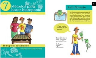7 Métodos para
hacer hidroponía
Cartillas de capacitación
Hidroponía Simplificada
Raíz flotante
Es el sistema de cultivo en el
cual se utiliza un medio
líquido formado por agua y
sales minerales. Se llama
raíz flotante porque las raíces
de las plantas flotan dentro
de la solución nutritiva.
Este sistema es
muy eficiente
para cultivar:
lechuga,
apio,
albahaca.
¿Y qué puedo
sembrar en este
sistema?
1
 