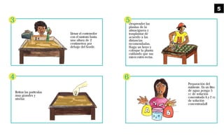 Llenar el contenedor
con el sustrato hasta
una altura de 2
centímetros por
debajo del borde.
Retirar las partículas
muy grandes y
nivelar.
3
4
Desprender las
plantas de la
almaciguera y
trasplantar de
acuerdo a las
distancias
recomendadas.
Haga un hoyo y
coloque la planta
cuidando que sus
raíces estén rectas.
Preparación del
nutriente. En un litro
de agua ponga 5
cc de solución
concentrada A y 2 cc
de solución
concentradaB
5
6
5
 