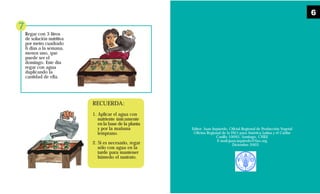 Regar con 3 litros
de solución nutritiva
por metro cuadrado
6 días a la semana,
menos uno, que
puede ser el
domingo. Este día
regar con agua
duplicando la
cantidad de ella.
RECUERDA:
1. Aplicar el agua con
nutriente únicamente
en la base de la planta
y por la mañana
temprano.
2. Si es necesario, regar
sólo con agua en la
tarde para mantener
húmedo el sustrato.
7
Editor: Juan Izquierdo, Oficial Regional de Producción Vegetal
Oficina Regional de la FAO para América Latina y el Caribe
Casilla 10095, Santiago, CHILE
E-mail:juan.izquierdo@fao.org
Diciembre 2003
6
 