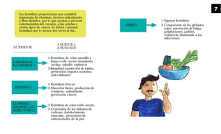 HIERRO
1.Algunas hortalizas
2.Componente de los glóbulos
rojos, prevención de fatiga,
palpitaciones, palidez,
resistencia disminuída a las
infecciones
1.Hortalizas de color amarillo y
hojas verde oscuro (zanahoria,
acelga, zapallo, espinaca)
2.Integridad y protección de tejidos;
prevención ceguera nocturna;
anti-oxidantes
1.Hortalizas frescas
2.Absorción hierro, producción de
colágeno, antioxidante,
prevención cáncer.
1.Hortalizas de color verde oscuro
2.Conversión de los hidratos de
carbono, fortalecimiento
muscular , prevención de
enfermedades de la piel.
Las hortalizas proporcionan una cantidad
importante de vitaminas, factores antioxidantes
y fibra dietética, por lo que ayudan a prevenir
enfermedades del corazón, a las arterias y
ciertos tipos de cáncer. Se deben consumir
hortalizas por lo menos dos veces al día..
NUTRIENTE
1.FUENTE y
2.FUNCION
CAROTENOS
Pro-VITAMINA A
VITAMINA C
COMPLEJO
VITAMINICO B y
ACIDO FOLICO
7
 