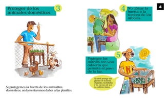 No ubicar la
huerta a la
sombra de los
árboles.
Proteger los
cultivos con una
cubierta que
permita el paso
de la luz.
Si usted protege sus
plantas de la lluvia,
el granizo, las heladas
y los excesos de sol,
no sufrirán daños.
4
5
Proteger de los
animales domésticos
Si protegemos la huerta de los animalitos
domésticos, no lamentaremos daños a las plantitas.
3 4
 