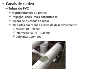 • Canais de cultivo
‒ Tubos de PVC
▪ Esgoto: brancos ou pretos
▪ Irrigação: azuis (mais encontrados)
▪ Separa-se os canos ao meio
▪ Utilizados em todas as fases de desenvolvimento
✓ Mudas: 40 – 50 mm
✓ Intermediária: 75 – 100 mm
✓ Definitiva: 100 – 200
 