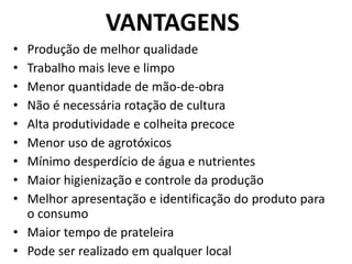 VANTAGENS
• Produção de melhor qualidade
• Trabalho mais leve e limpo
• Menor quantidade de mão-de-obra
• Não é necessária rotação de cultura
• Alta produtividade e colheita precoce
• Menor uso de agrotóxicos
• Mínimo desperdício de água e nutrientes
• Maior higienização e controle da produção
• Melhor apresentação e identificação do produto para
o consumo
• Maior tempo de prateleira
• Pode ser realizado em qualquer local
 
