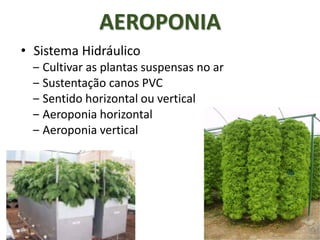 AEROPONIA
• Sistema Hidráulico
‒ Cultivar as plantas suspensas no ar
‒ Sustentação canos PVC
‒ Sentido horizontal ou vertical
‒ Aeroponia horizontal
‒ Aeroponia vertical
 