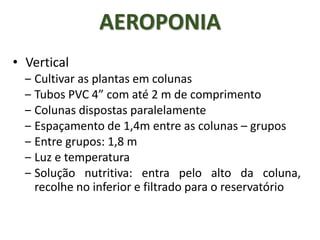 AEROPONIA
• Vertical
‒ Cultivar as plantas em colunas
‒ Tubos PVC 4” com até 2 m de comprimento
‒ Colunas dispostas paralelamente
‒ Espaçamento de 1,4m entre as colunas – grupos
‒ Entre grupos: 1,8 m
‒ Luz e temperatura
‒ Solução nutritiva: entra pelo alto da coluna,
recolhe no inferior e filtrado para o reservatório
 