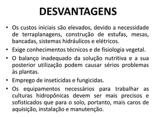 DESVANTAGENS
• Os custos iniciais são elevados, devido a necessidade
de terraplanagens, construção de estufas, mesas,
bancadas, sistemas hidráulicos e elétricos.
• Exige conhecimentos técnicos e de fisiologia vegetal.
• O balanço inadequado da solução nutritiva e a sua
posterior utilização podem causar sérios problemas
às plantas.
• Emprego de inseticidas e fungicidas.
• Os equipamentos necessários para trabalhar as
culturas hidropônicas devem ser mais precisos e
sofisticados que para o solo, portanto, mais caros de
aquisição, instalação e manutenção.
 