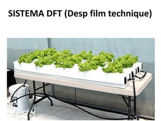 SISTEMA DFT (Desp film technique)
 