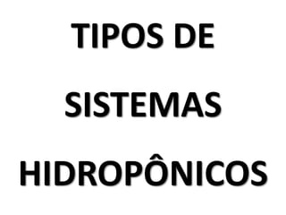 TIPOS DE
SISTEMAS
HIDROPÔNICOS
 