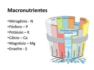 Macronutrientes
•Nitrogênio - N
•Fósforo – P
•Potássio – K
•Cálcio – Ca
•Magnésio – Mg
•Enxofre - S
 