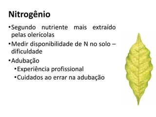 Nitrogênio
•Segundo nutriente mais extraído
pelas olerícolas
•Medir disponibilidade de N no solo –
dificuldade
•Adubação
•Experiência profissional
•Cuidados ao errar na adubação
 
