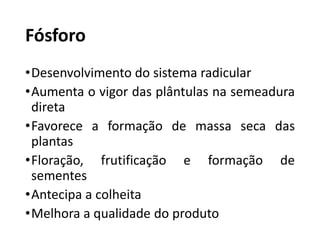 Fósforo
•Desenvolvimento do sistema radicular
•Aumenta o vigor das plântulas na semeadura
direta
•Favorece a formação de massa seca das
plantas
•Floração, frutificação e formação de
sementes
•Antecipa a colheita
•Melhora a qualidade do produto
 