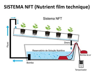 SISTEMA NFT (Nutrient film technique)
 