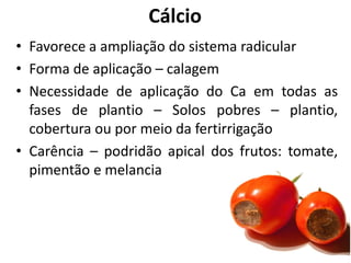 Cálcio
• Favorece a ampliação do sistema radicular
• Forma de aplicação – calagem
• Necessidade de aplicação do Ca em todas as
fases de plantio – Solos pobres – plantio,
cobertura ou por meio da fertirrigação
• Carência – podridão apical dos frutos: tomate,
pimentão e melancia
 